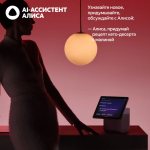 Яндекс Дуо Макс — изображение 19